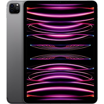 iPad Pro 11" 128GB Cellular M2 Vesmírně šedý 2022