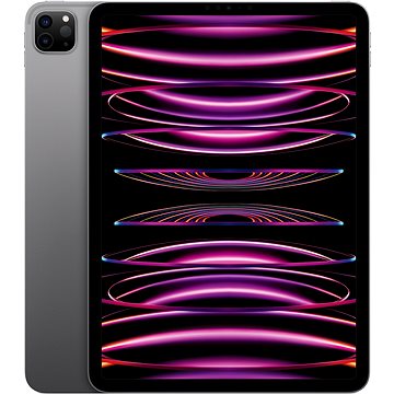 iPad Pro 11" 1TB M2 Vesmírně šedý 2022