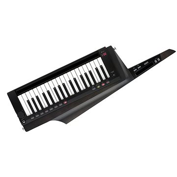 KORG RK-100S2 BK