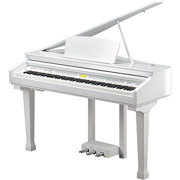 KURZWEIL KAG100 WHP