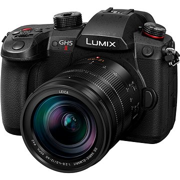 Panasonic Lumix DC-GH5 Mark II + Leica DG Vario-Elmarit 12-60 mm f/2.8-4 Power O.I.S.