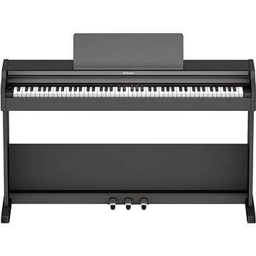 Roland RP107-BKX