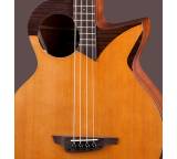 Stanford Guitars Robot 4 fretted