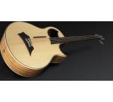 Warwick The Alien Acoustic (Fretless Version)