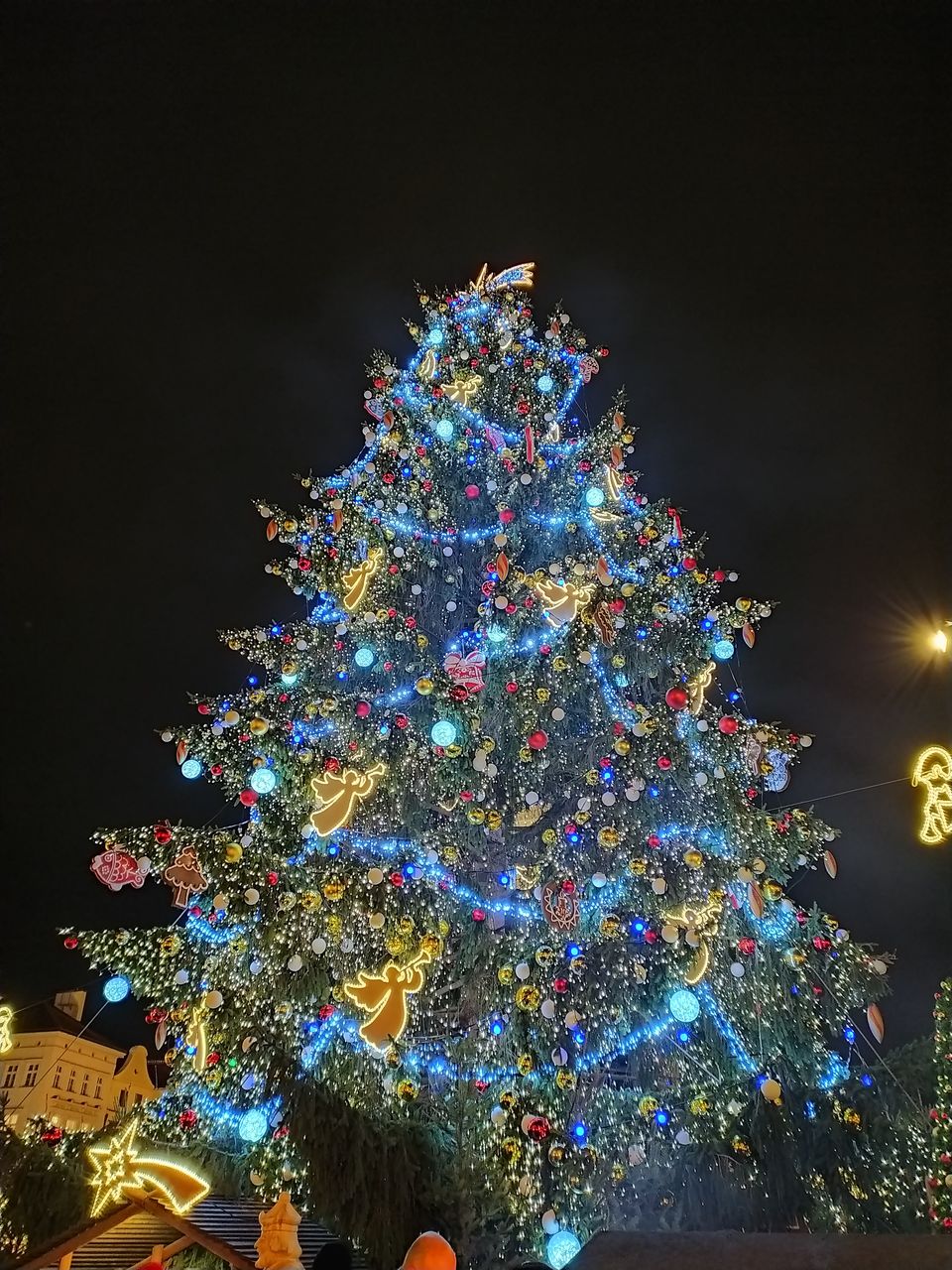 foto stromek 2